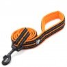 Truelove Walk Hondenriem 200cm